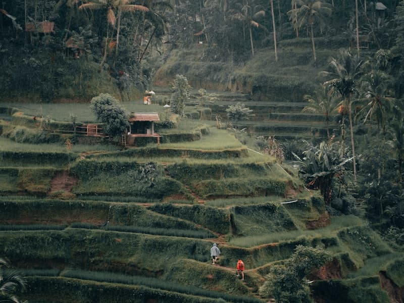 Bali