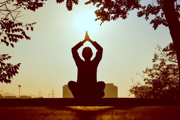 Wellness & Yoga Retreat