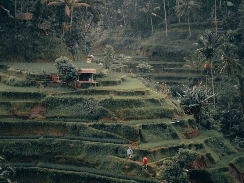 Bali